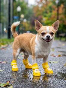 PETSIN Giày đi mưa chống thấm nước hình quả trứng dễ thương cho chó cưng, giày đi mưa chống mài mòn, chống trượt cho chó nhỏ và vừa, giày cho thú cưng, đồ dùng cho thú cưng - Nhiều màu - Xem 2