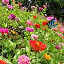 5/30/50pcs Butterfly Decorations, Creative DIY Swinging Butterfly Stakes PVC Waterproof Decor, Simulated Butterfly Garden Stakes With Spring Rods, Suitable For Indoor/Outdoor Christmas Yard - multicolor - View 10