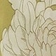 彩色
