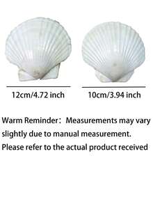 10PCS White Scallop Seashells, Size 4-5 Inches (10.16-12.7cm) - Natural Seashells, Suitable For DIY Crafts, Painting, Beach Wedding Decor And Home Decoration - Large Pack Of Smooth Shiny Seashells, Great For Handmade Crafts, Coastal Themed Decor And Shell Jewelry Making - White - View 10