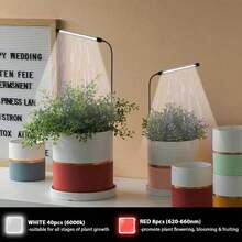 USB Full Spectrum LED Plant Growth Light, 6000K, With Controller, Indoor Gardening, Plant Flowering - White Red Light - View 8