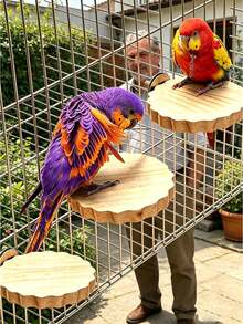 1/2pcs Wood Flower Shaped Perch Platform, Suitable For Parrots & Hamsters Climbing & Jumping Stage, Bird Cage Accessories, All Season - Apricot - View 4