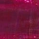 Rosa Fucsia