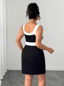 SHEIN Clasi Plus Size Colorblock Round Neck Sleeveless Fitted Zipper Fashion Dress - Black and White - View 2