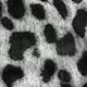 Black and White