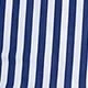 Blue and White