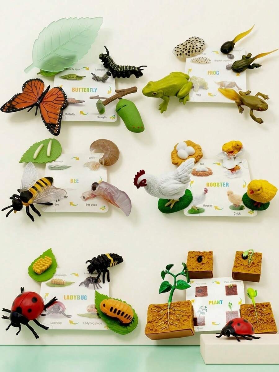 MINKOJA MINKOJA Children's Life Cycle Learning Toys, Butterfly Frog Bee Chicken Plant Growth Stage Simulation Model, Lifelike Figurines And Learning Cards, Entomology, Botany, Zoology Toy Sets, Monarch Butterfly Caterpillar Sets, Early Education Cognitive Toys.
