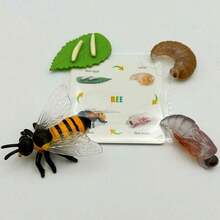 MINKOJA MINKOJA Children's Life Cycle Learning Toys, Butterfly Frog Bee Chicken Plant Growth Stage Simulation Model, Lifelike Figurines And Learning Cards, Entomology, Botany, Zoology Toy Sets, Monarch Butterfly Caterpillar Sets, Early Education Cognitive Toys. - Life Cycle - View 14