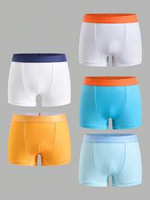 SHEIN 5pcs/Pack Boys' Minimalist Contrast Color Elastic Waist Cute Cartoon Dinosaur & Letter Print Solid Color Casual Boxer Briefs - Multicolor - View 3
