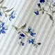 Blue and White