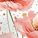 彩色