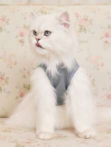 LOONEY TUNES X SHEIN 1件可爱卡通印花宠物背心，猫狗通用，尺码从XXS到XXXXXL，从XS到XL，虫子图案 - 灰色 - 查看 3