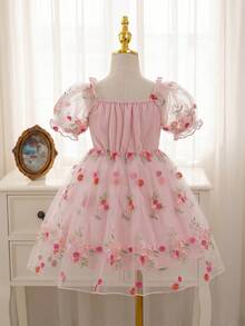 SHEIN Glamorique Kids 圣诞/新年派对圣诞老人连衣裙，女童公主风花卉刺绣网纱泡泡袖连衣裙，四季皆宜 - 粉色 - 查看 2