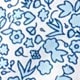 Blue and White