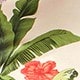 Nhiều màu