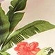 Nhiều màu