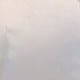 trắng