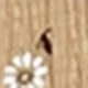 咖啡棕