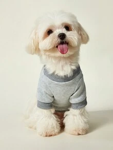 PETSIN 1pc Blue Letter Circular Seal Number 89 Printed Pet Gray Skin Friendly Warm And Anti Shedding Pet Clothes Without Hats - Grey - View 2