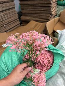 60/180 unidades de flores artificiais de Gypsophila (mosquitinho), buquê de flores artificiais realistas para buquê de noiva, arranjos florais caseiros, decoração de vasos, presentes para o Dia dos Namorados e formaturas. - Rosa - Ver 3