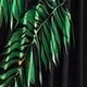 Black and Green