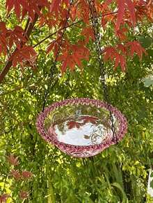 1 Piece Hanging 2 In 1 Bird Feeder And Bird Bath Outdoor Patio Garden Yard Decor Sturdy Easy To Hang For Wild Bird Lovers Nature Backyard Balcony Porch Gift For Bird Enthusiast Spring Summer Season - A - View 8