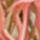 粉色