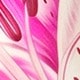 粉色