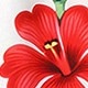 Nhiều màu