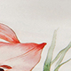 Nhiều màu