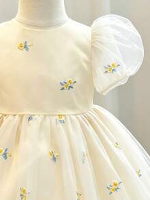 Glamorique Kids 女婴浅香槟色短袖连衣裙，柔软薄纱裙摆饰有精美花卉刺绣，适合毕业典礼、舞会、生日派对、婚礼、夏季穿着，甜美可爱，可作公主裙、舞台表演、日常穿着或拍照打卡。 - 杏色 - 查看 5