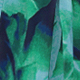 Nhiều màu