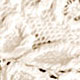 Albaricoque