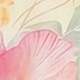 彩色