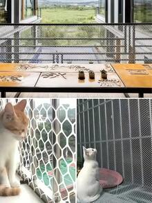 1卷PE阳台防护网 - 可重复使用，柔韧安全，适用于猫狗、家居阳台、花园、家禽、种子、草坪、蔬菜等，防止跌落，安装简便，礼品装 - 彩色 - 查看 5