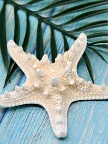 1 buah Bintang Laut 2,75 inci ~ 4,72 inci, Cocok untuk Hadiah Liburan - Bintang - View 6