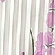 Mauve Purple