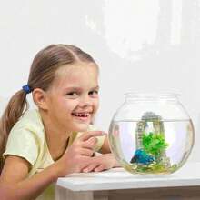 Akuarium Ikan Beta Bulat Transparan, Dekorasi Rumah, Akuarium Kecil, Ikan Hias, Akuarium Meja - MultiWarna - View 8