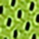 Limelight Green