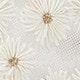 Fireworks - Apricot
