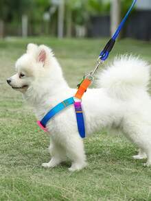 Dog Pet Leash Cat Leash With Colorful Pet Chest Strap Round Rainbow Cat Leash Dog Chain - Multicolor - View 3