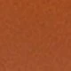 Coral Orange