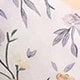 彩色