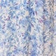 Blue and White