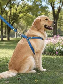 1 Set Colorful Pet Dog Harness And Leash, Adjustable Fashion Walking Vest For Small & Medium Dogs, Outdoor Reflective Puppy Harness & Leash Set, Stylish Dog Walking Gear - Multicolor - View 7