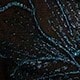 Teal Blue