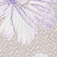 Purple butterfly