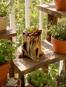 Cirelle 1PC/2PCS Nature-Inspired Cement Tree Root Plant Pot - Realistic Driftwood Stump Succulent Planter, Handcrafted Vintage Wood Look Flower Pot, Decorative Small Container For Mini Plants Herbs Air Plants, Boho Rustic Home Decor For Office Desk Living Room Bedroom, Ideal Gift For Plant Lovers - multicolor - View 6