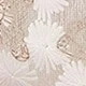 Butterfly - Apricot
