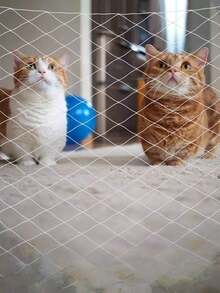 1PC Transparent Nylon Pet Safety Net Balcony Cat Fence Window Protection Mesh Anti Fall Climbing Guard For Stairs Patio Outdoor Dog Cat Enclosure With Fixing Kit - Multicolor - View 6